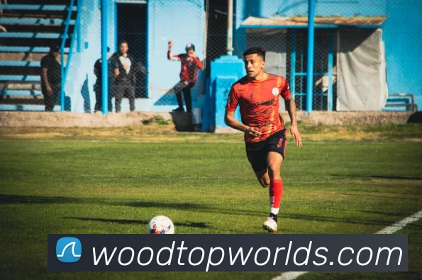 皇冠app官方登录入口平台生态图